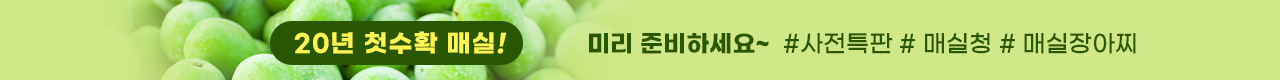 매실 사전예약