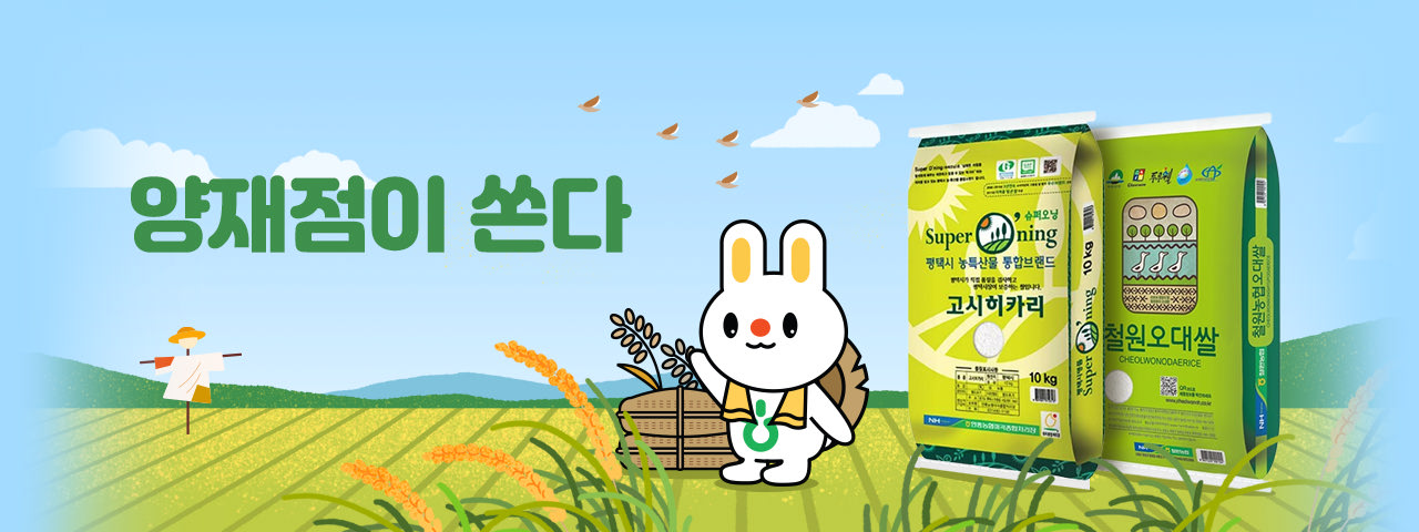 양재쌀 특가 기획전