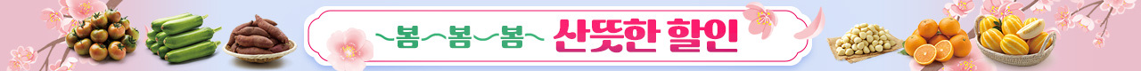 전단행사