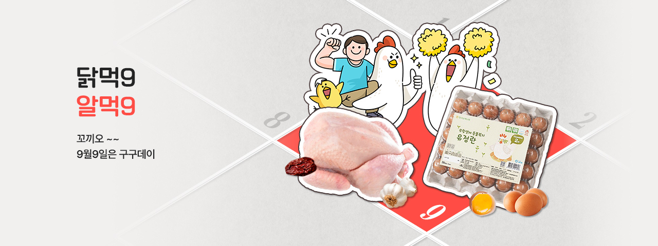 (NEW) 구구데이 기념 할인