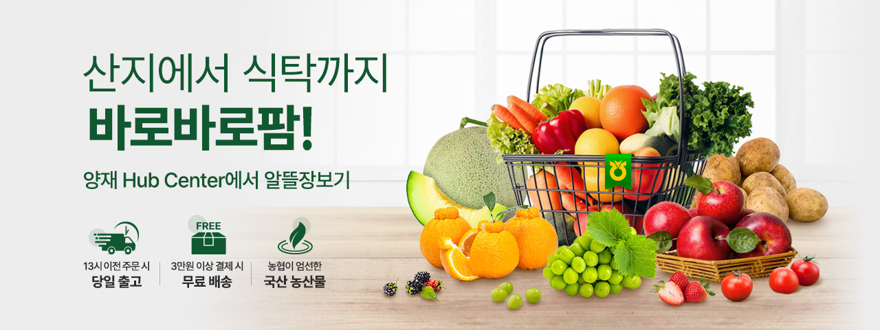 (BEST) 바로바로팜