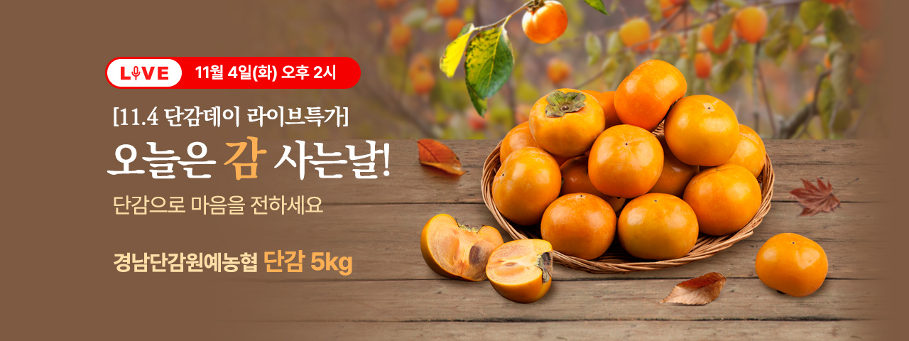 (LIVE) 11/4 14시 라이브