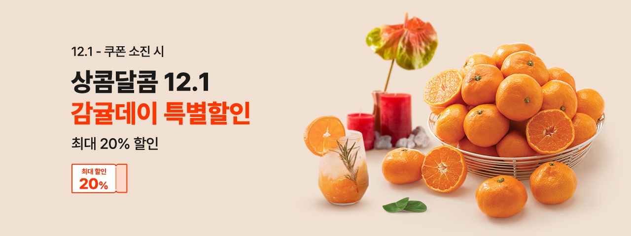 (NEW) 12.1 감귤데이 특별할인