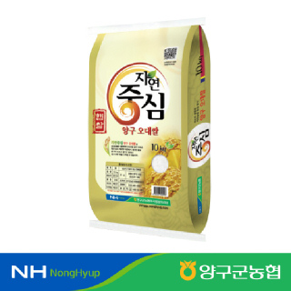 [양구군농협] 자연중심 양구 오대쌀 10kg 2025년산