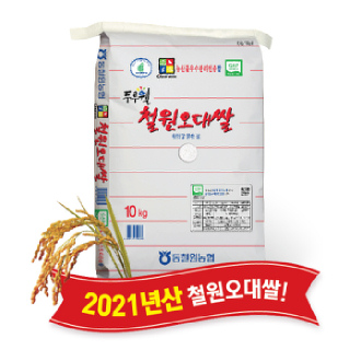동철원농협 두루웰 철원오대쌀 햅쌀 10kg, 2021년산