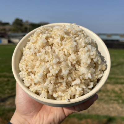 25년산 농부한씨 GAP 인증 현미 10kg