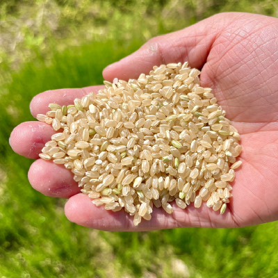 25년산 농부한씨 GAP 인증 현미 10kg