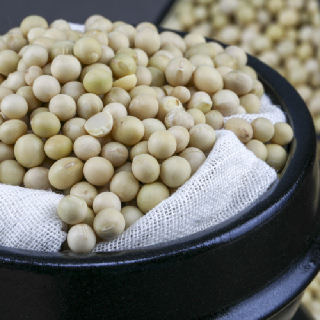 [담양농협]국산 백태 메주콩 2kg