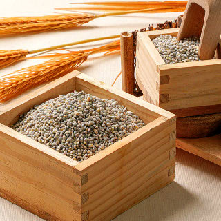 담은제주 보리 500g x 3개(3종)