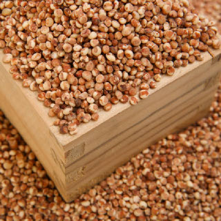 [디자인농부] 찰수수 (500g/1kg)