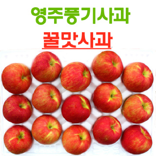 영주풍기사과 꿀맛 사과 대용량 10kg 28~32과 가정용 흠집사과