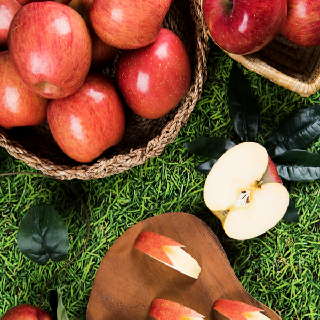 파인토피아 봉화! 햇살찬 고랭지 산사과 5kg (20~22과)