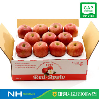 11/27(목)릴레이특가_GAP 영천 부사사과 2.5kg 13과내