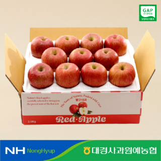[대경사과농협] GAP 영천 부사사과 2.5kg 13과내