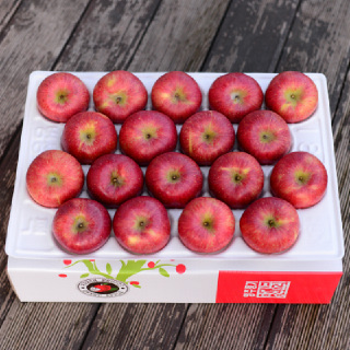 [영주풍기사과농장]햇 사과 실속형 정품 4kg 17-19과 산지출고