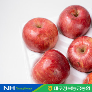 [대경사과원예농협] 청송 부사사과(가정용) 3kg (12-15과)