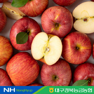 [대경사과원예농협] 청송 부사사과 정품 3kg (12-15과)