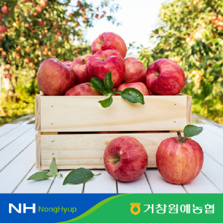 [거창사과원예농협]산내울 거창사과(부사/중대과) 5kg