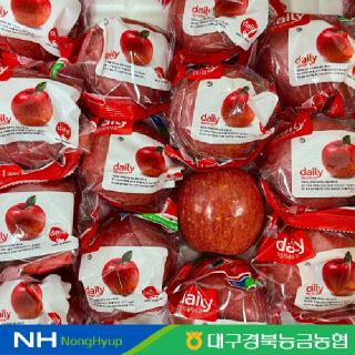 경북 데일리 세척사과 9kg 36~39과 대용량 부사