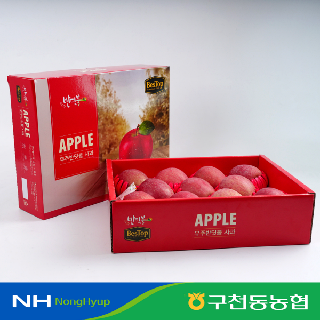 [구천동농협]베스탑 무주반딧불 사과3kg(부사/정품/특)