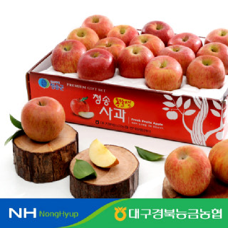 청송 부사사과 3kg(12~15과) 가정용/정품