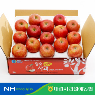 [대경사과농협] 청송 부사사과 3kg 12-15과 #가정용/정품
