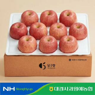 [대경사과원예농협] 당도선별 경북 못난이사과 3kg 12과/15과