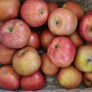 국내산 가정용 부사 사과 2kg~8kg(박스포함중량)