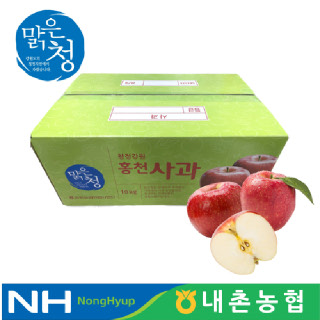 [내촌농협]맑은청 홍천 고랭지 사과 5kg(13~15과)