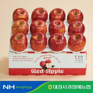 [대경사과농협]청송 부사 햇사과 3kg 정품/가정용