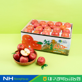 경북능금농협 청송 가정용사과 10kg 구성 부사 흠집