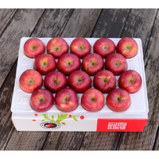 영주풍기사과농장 5kg 17~19과 가정용 흠집사과