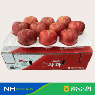 [영동농협]★1+1할인행사★당도선별 영동 부사 사과 3kg(10-12과) 2박스