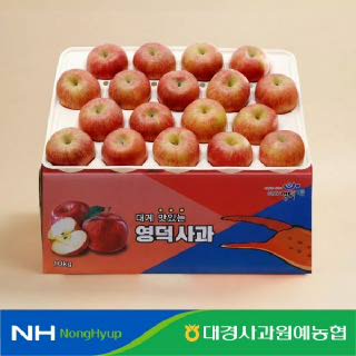 [경북농협/대경사과원예농협] 경북 못난이사과 10kg (40과내/52과내)