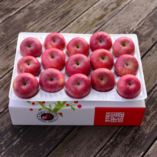 영주풍기사과농장 사과 5kg 14~16과 가정용 흠집사과