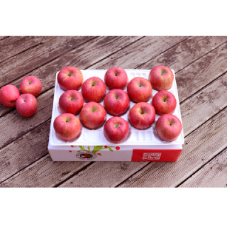 영주풍기사과 꿀맛 햇사과 5kg 12~13과 가정용 흠집사과