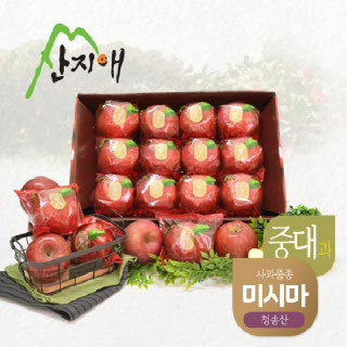 산지애 씻어나온 꿀사과 3kg 1box (중대과) / 청송산 미시마 당도선별