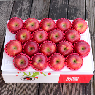 [부직포가방+팬캡포장] 영주풍기사과 선물용 5kg 17-19과 #부사 #우체국택배 