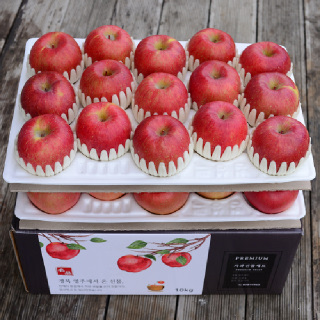 선물용 고당도 영주풍기사과 10kg 28~32 대과