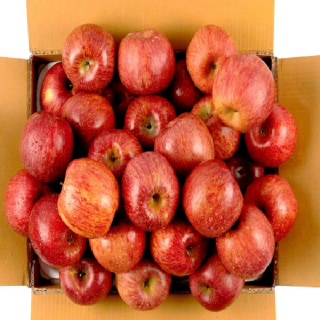 [거창APC]햇 부사사과 3kg_5kg