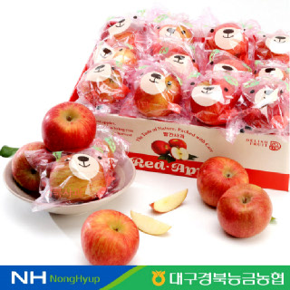 [경북능금농협] 안동 곰돌이 세척사과 2.5kg 소과 구성 부사