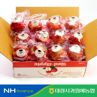 [대경사과농협]안동 곰돌이 세척사과 2.5kg 소과 구성 부사