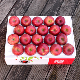 [영주풍기사과]실속형 정품 사과 4kg 20-22과(소과) 산지출고