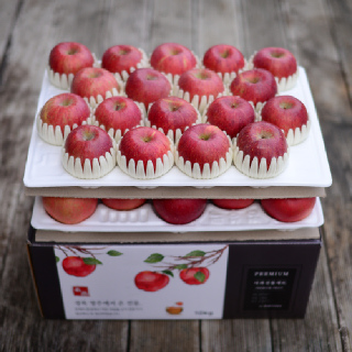 선물용 고당도 영주풍기사과 10kg 34~38과 중상과