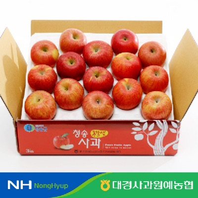[대경사과농협]청송 부사 햇사과 3kg 정품/가정용