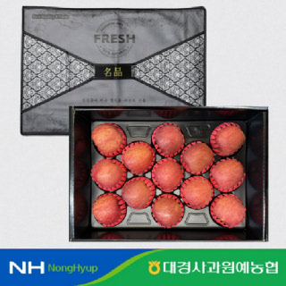 [대경사과원예농협] 청송사과 선물세트 4.2kg 13과 대과