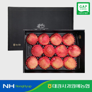 [9/17순차출고][GAP인증]경북사과 실속세트 3kg 12입 중과