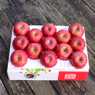 [팬캡+부직포가방]선물용 영주풍기사과 5kg 12-13과 특대 # 왕사과 # 제수용 #부사