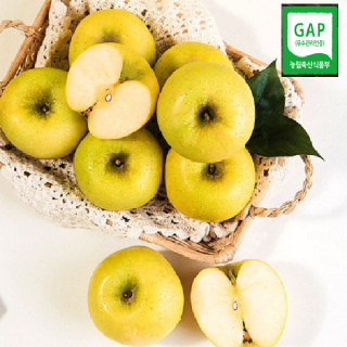 [파인토피아] 봉화 시나노골드 황금사과2.5kg10-12과 GAP