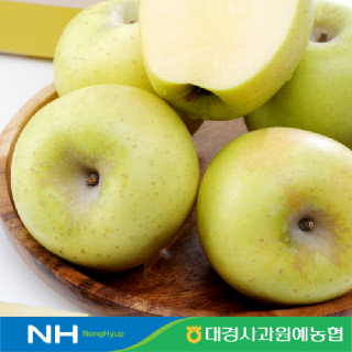 [경북농협/대경사과원예] 황금빛 사과 시나노골드 가정용 2.5kg (10-13과)